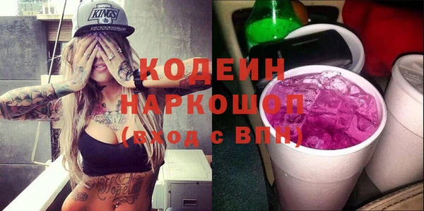 индика Балахна