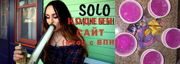 индика Балахна