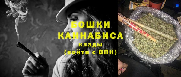 индика Балахна