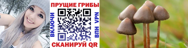 Галлюциногенные грибы Cubensis  Покачи 