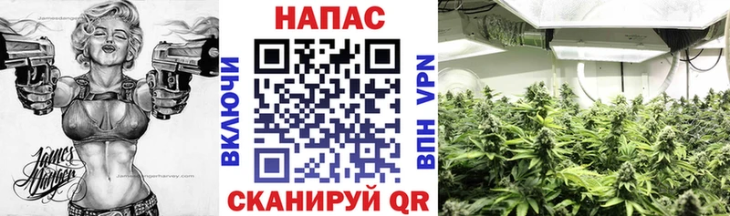 маркетплейс как зайти  наркотики  Покачи  Канабис планчик 